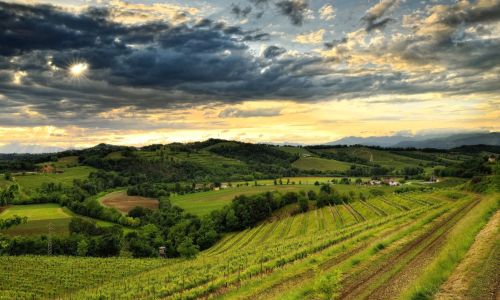 colli orientali del Friuli