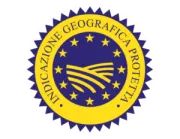 logo igp