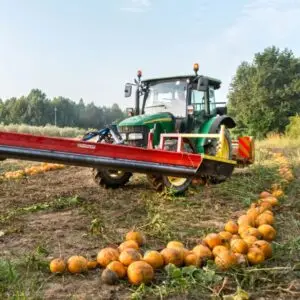 anaxum agricoltura semi di zucca