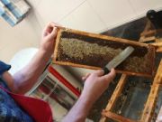 miele azienda agricola dreosti corrado