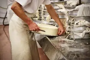 Produzione del formaggio Latteria, Campolessi.