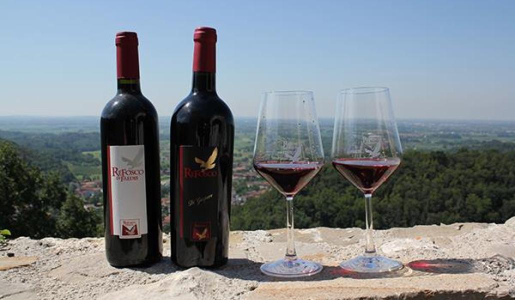 azienda agricola gianni macor vino