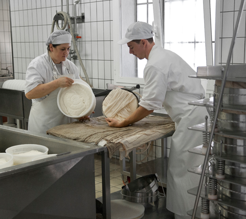 latteria di fagagna borgo riolo