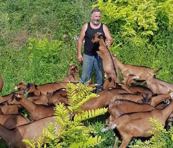 andrea zannier capramica