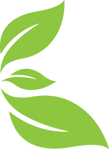 Decorazione Fattorie friulane