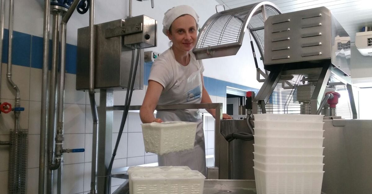 formaggi di capra azienda agricola zore