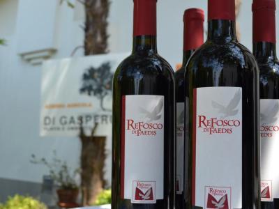 Vino Refosco di Faedis