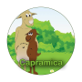 capramica
