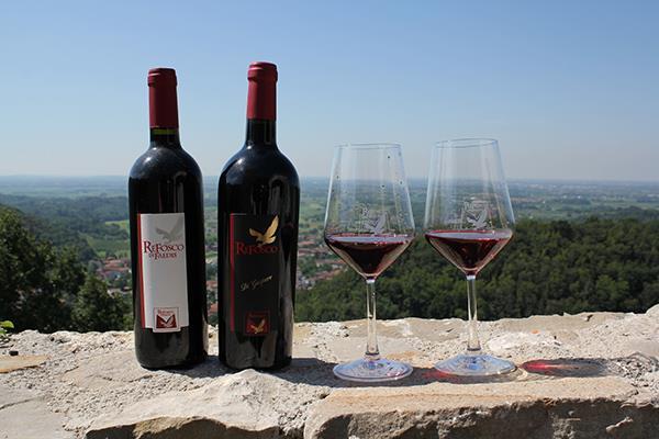 azienda agricola gianni macor vino