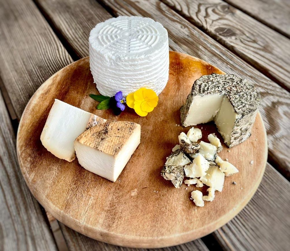 Formaggi caprini tris di ricotte.