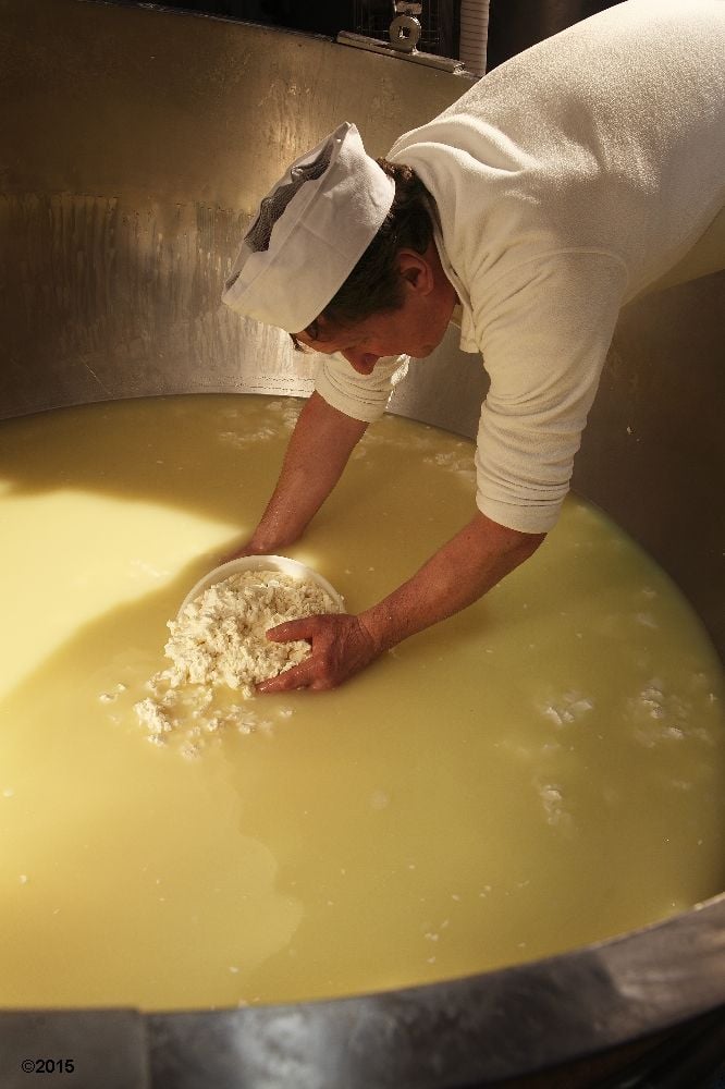 lavorazioni caseificio sociale alto but