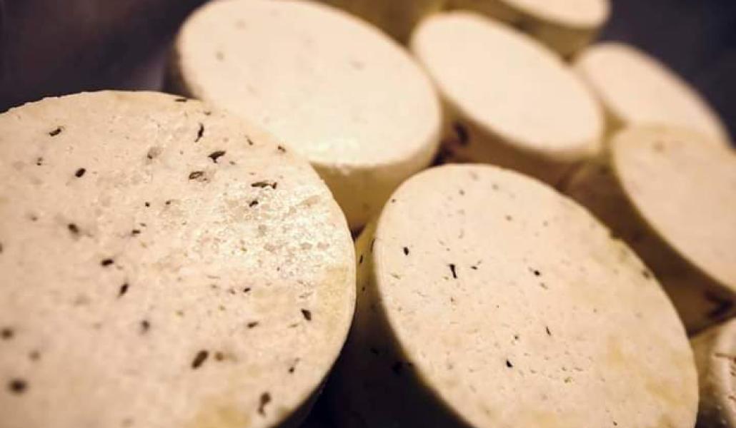 formaggi azienda agricola cabas simone