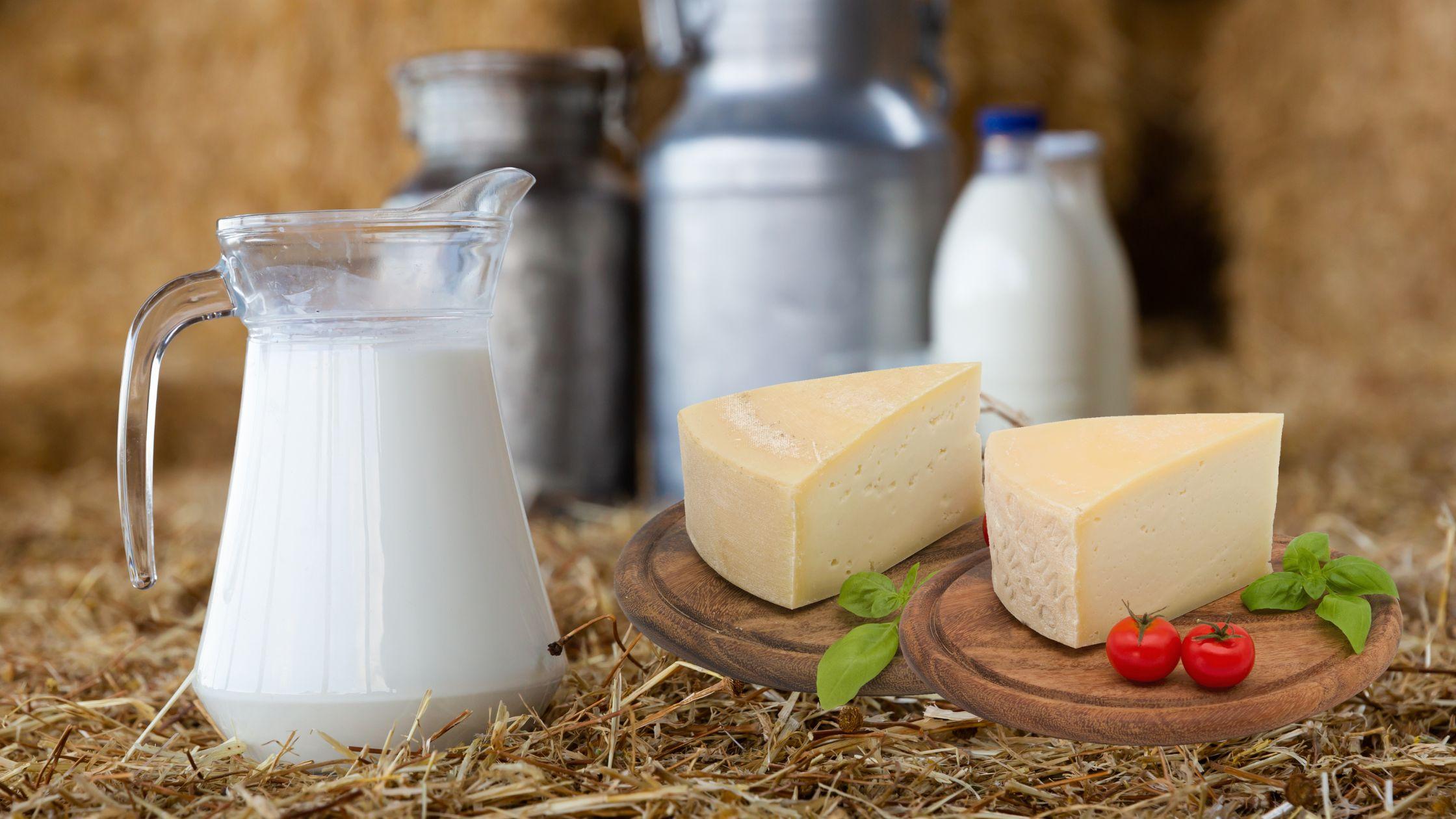 formaggi con latte fieno stg