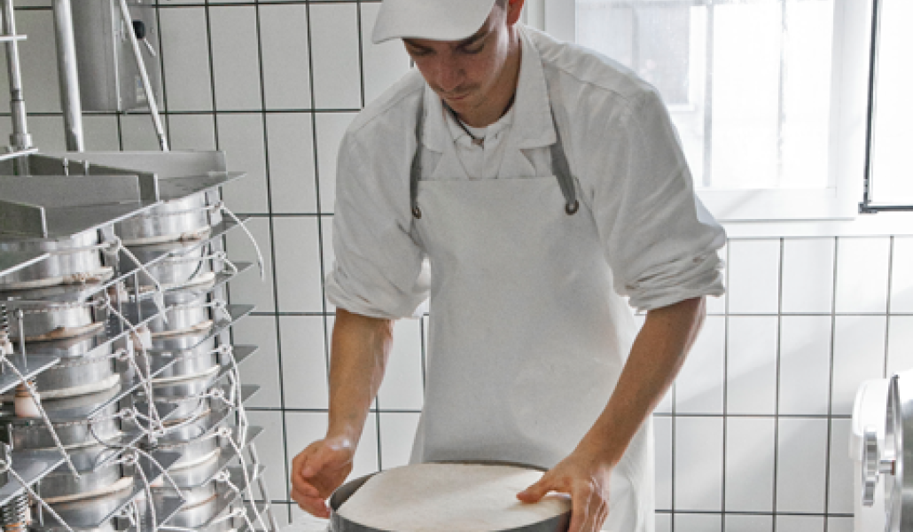 latteria di fagagna borgo riolo