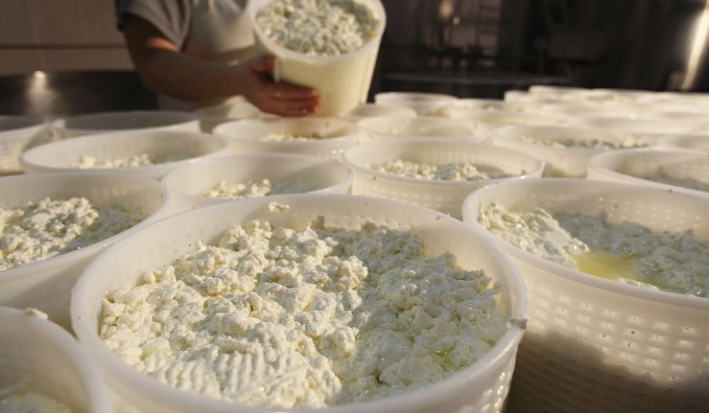 latteria caseificio sociale alto but