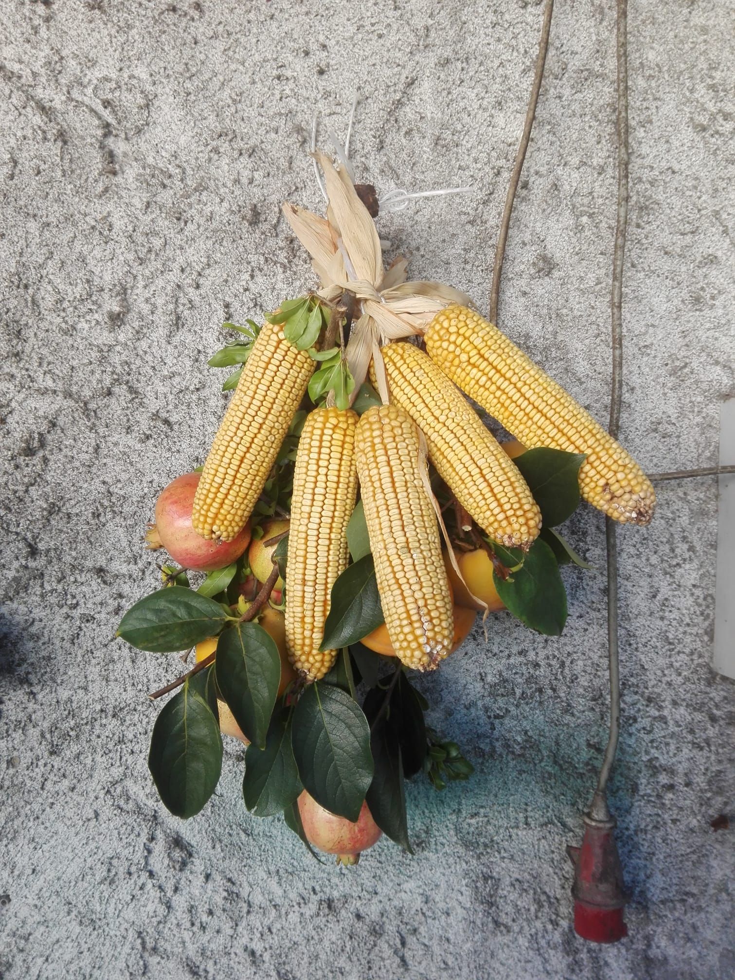 azienda agricola zani elvio di zani claudio