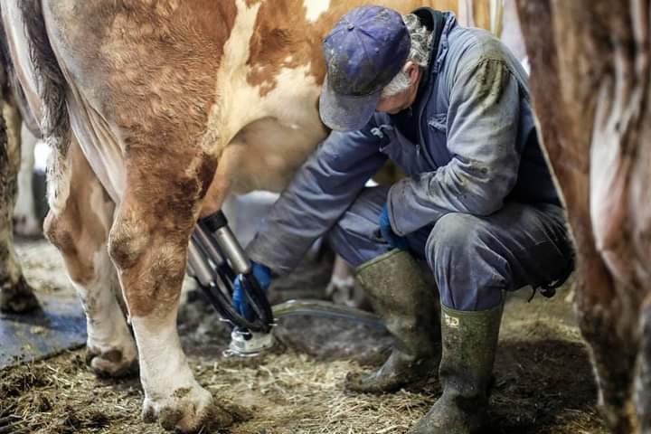 azienda agricola cabas simone