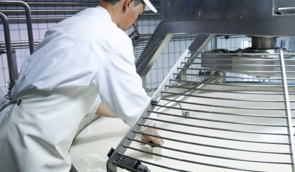 latteria di fagagna borgo riolo