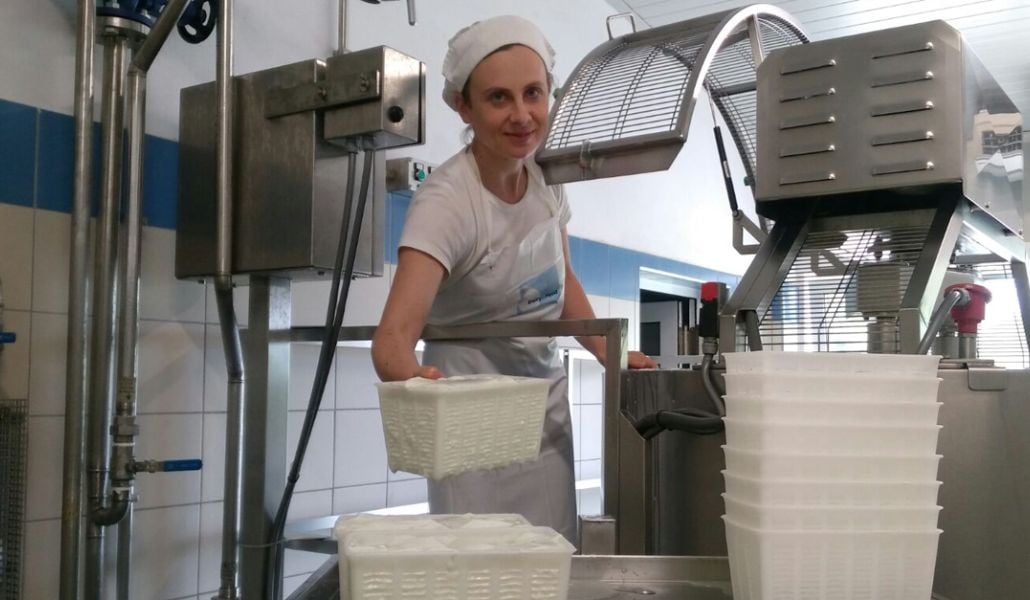 formaggi di capra azienda agricola zore