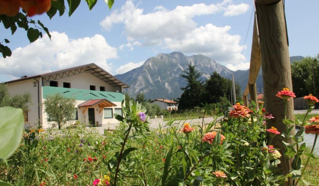 azienda agricola londero
