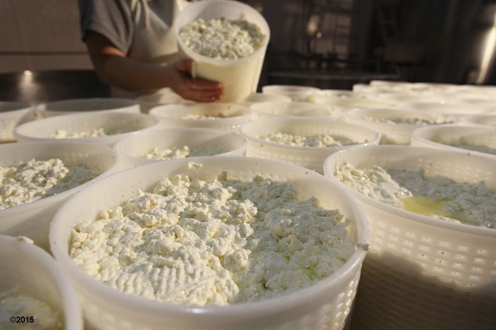 latteria caseificio sociale alto but