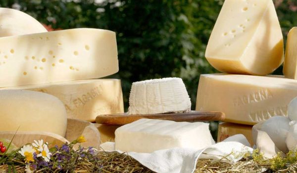 Formaggio Friulano, latteria di Borgo Paludo, Fagagna Formaggio Friulano, latteria di Borgo Paludo, Fagagna