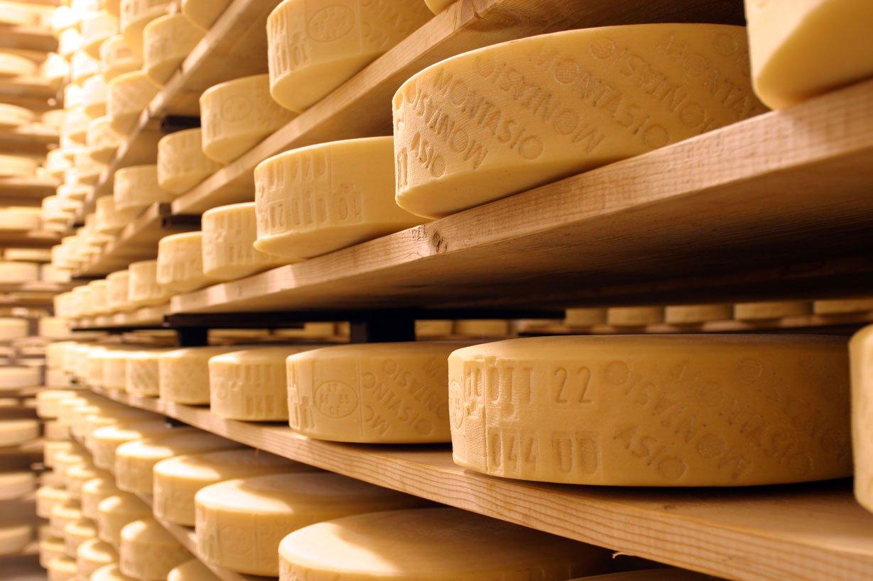 Montasio formaggi della Savia