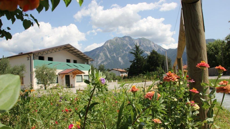 azienda agricola londero