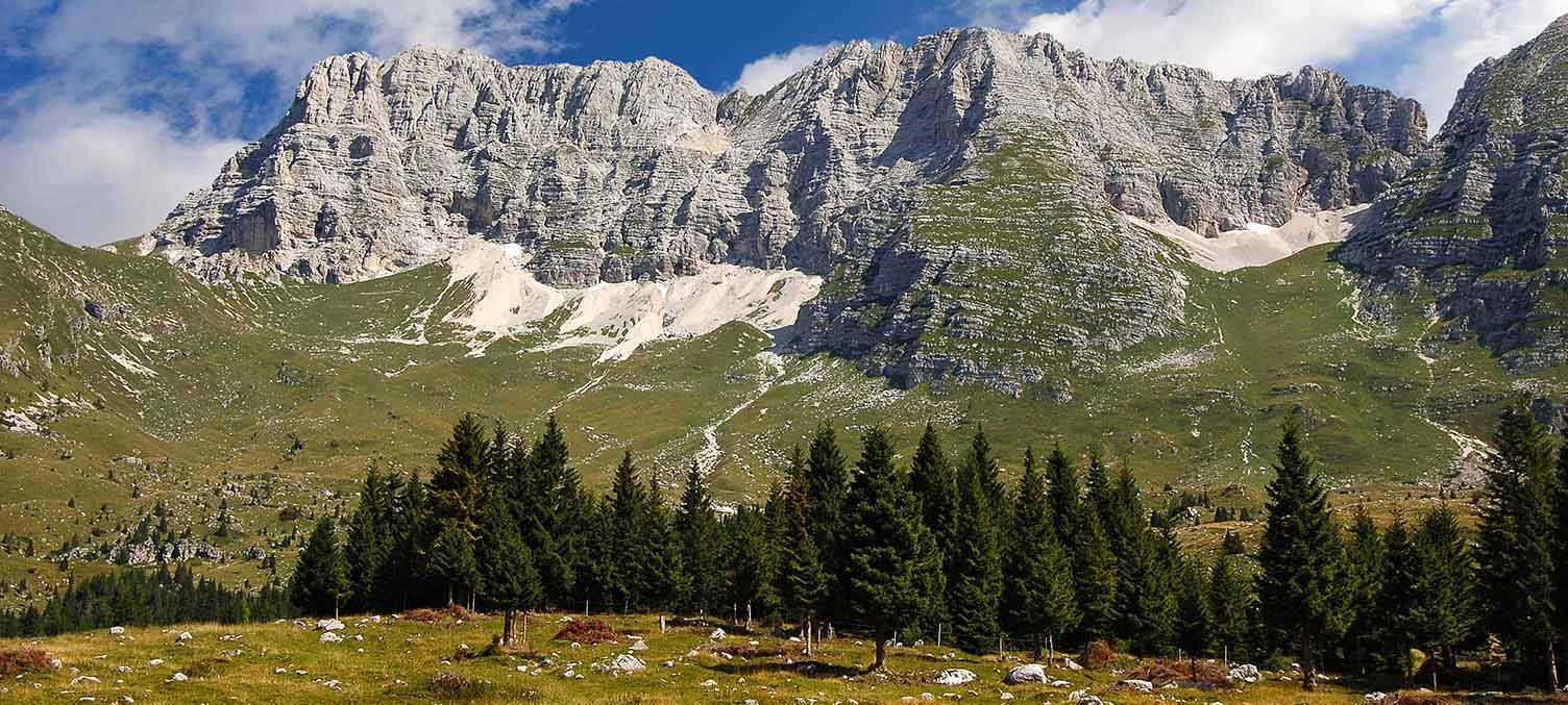 altopiano montasio dop altopiano montasio dop