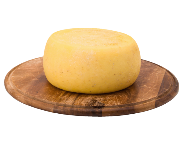 caciotta