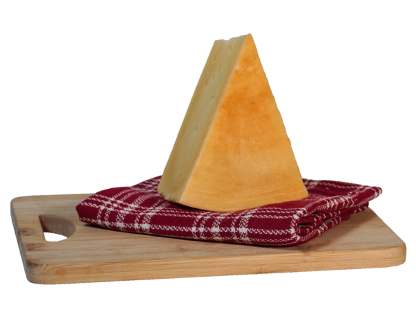 montasio dop malga montasio