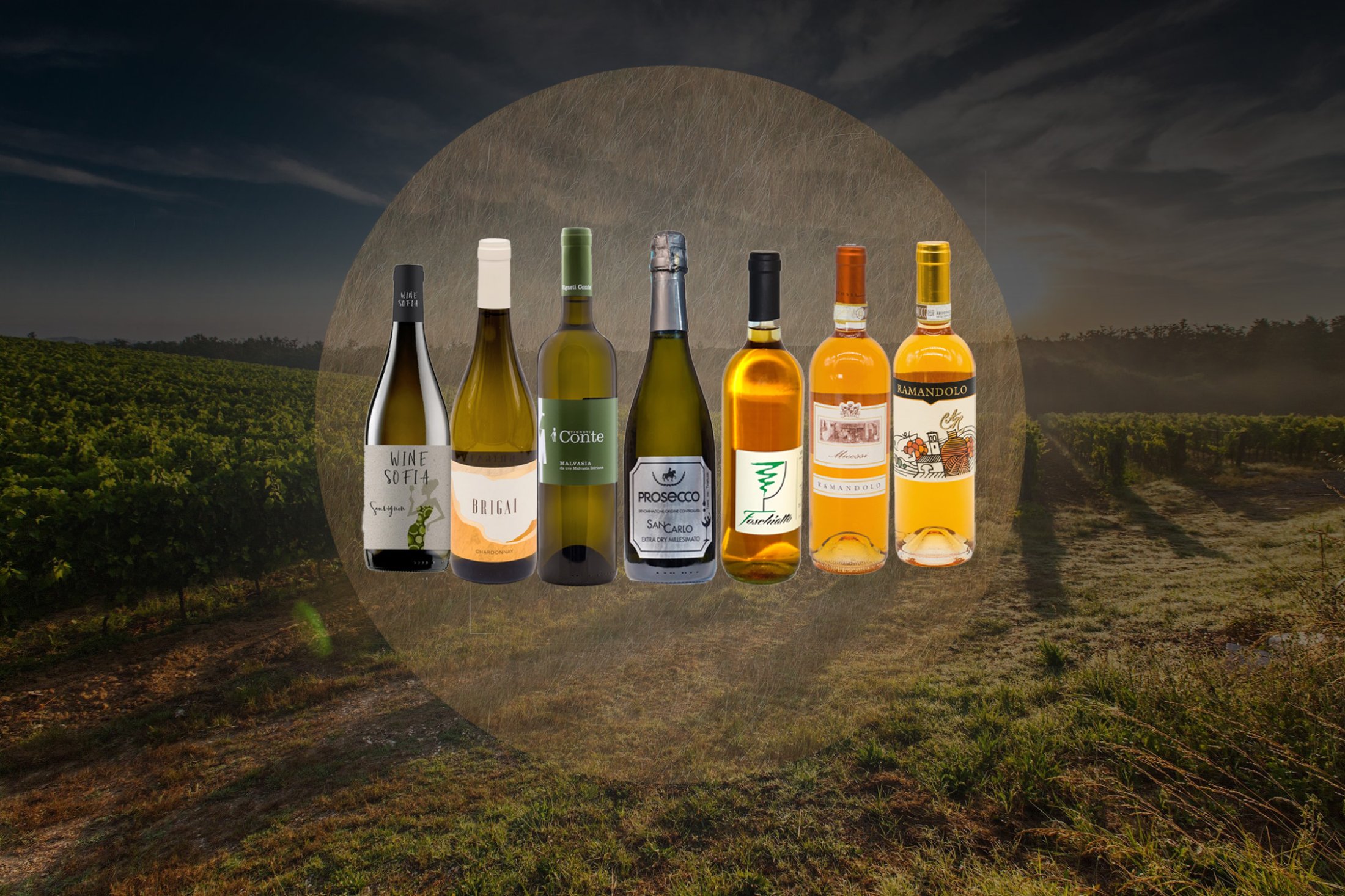 vini bianchi friulani