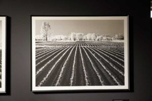 Foto del paesaggio friulano di Elio Ciol