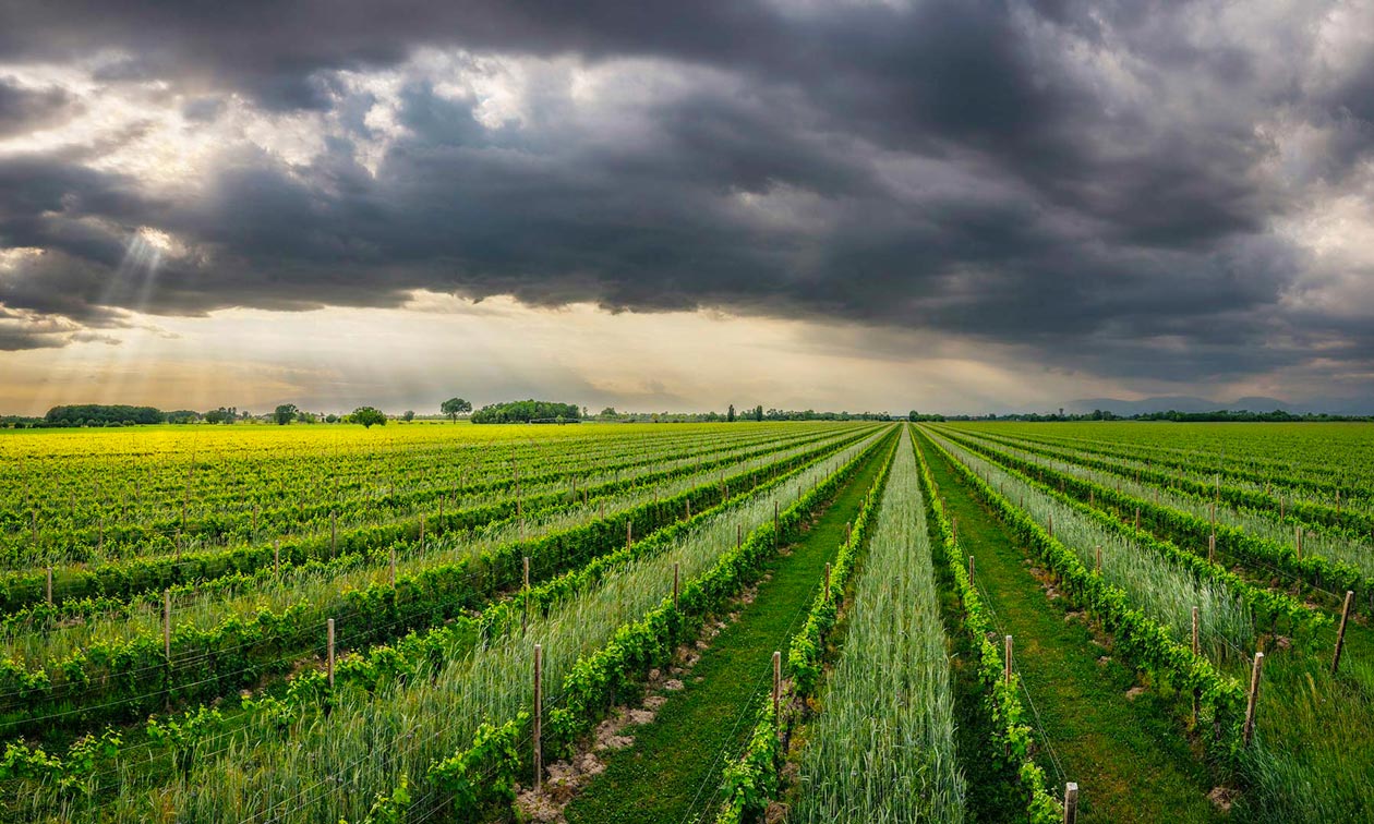 Camino al tagliamento