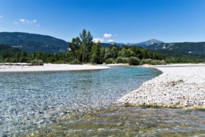 Tagliamento