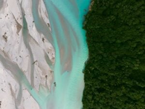 Sponde boscose del fiume Tagliamento