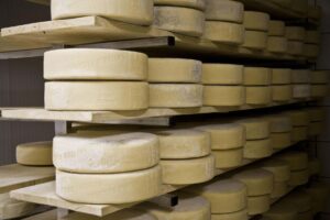 Formaggio di Fagagna in stagionatura, latteria Borgo Riolo