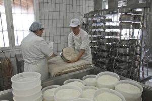 Latteria borgo Riolo, lavorazioni.