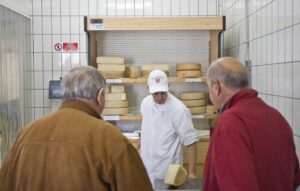 Punto vendita, Borgo Riolo