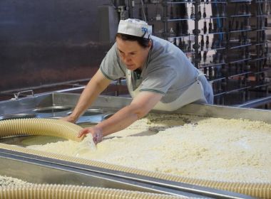 Patrizia Tomat Alto But