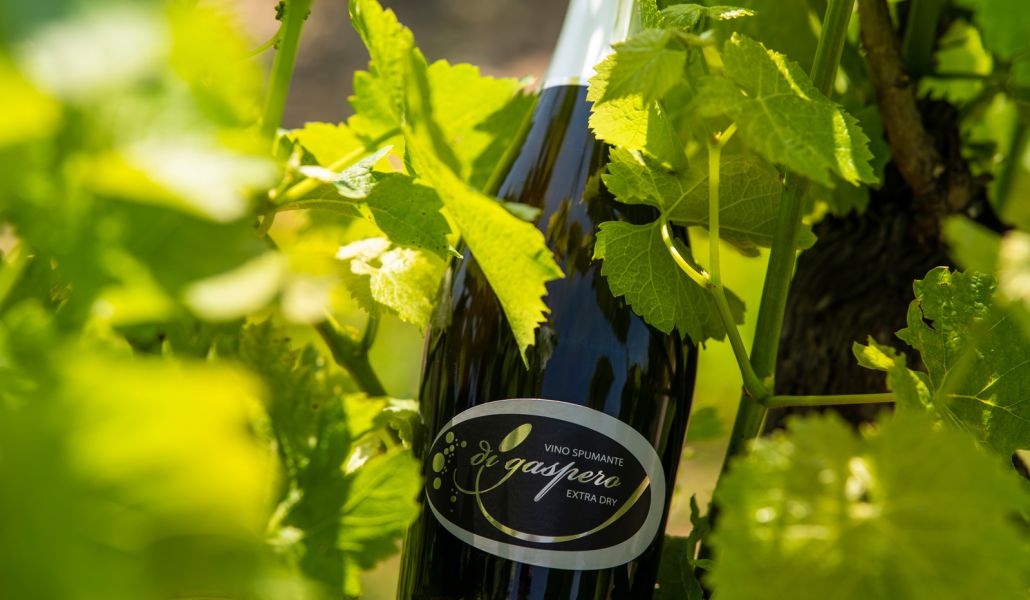 spumante di gaspero