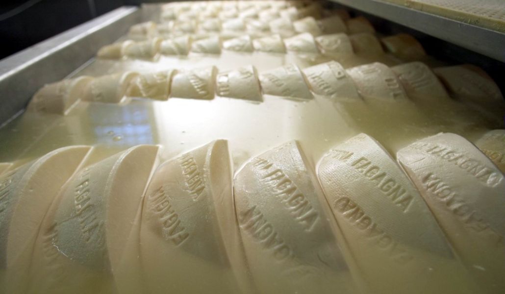 latteria di fagagna borgo paludo