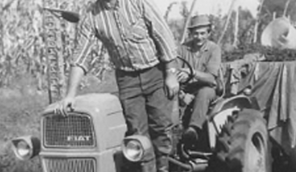 casato bertoia storia