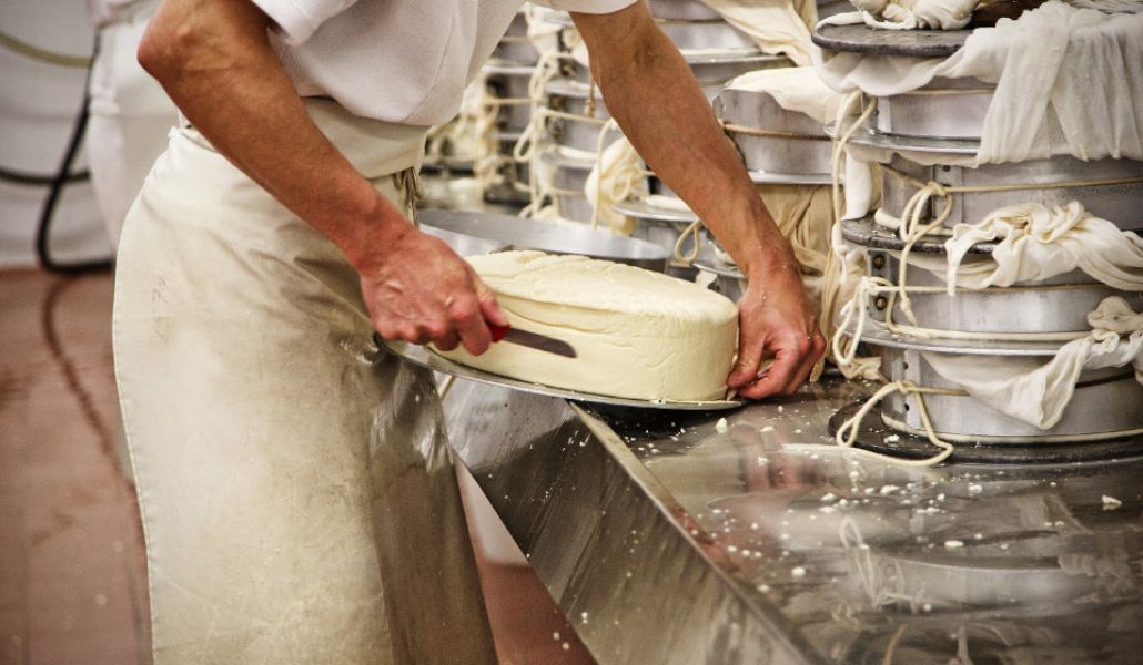 regole e qualità latteria turnaria di campolessi