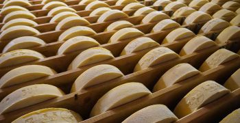 Deposito di formaggi latteria