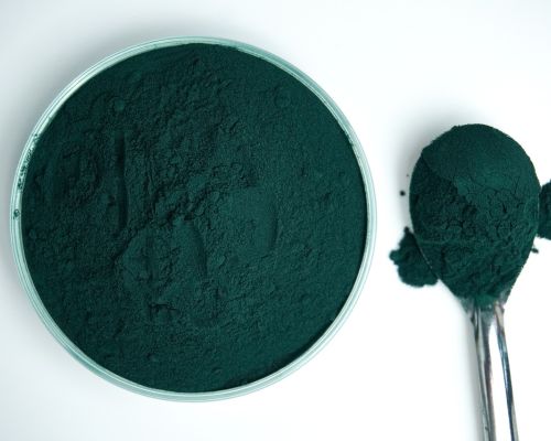 spirulina polvere