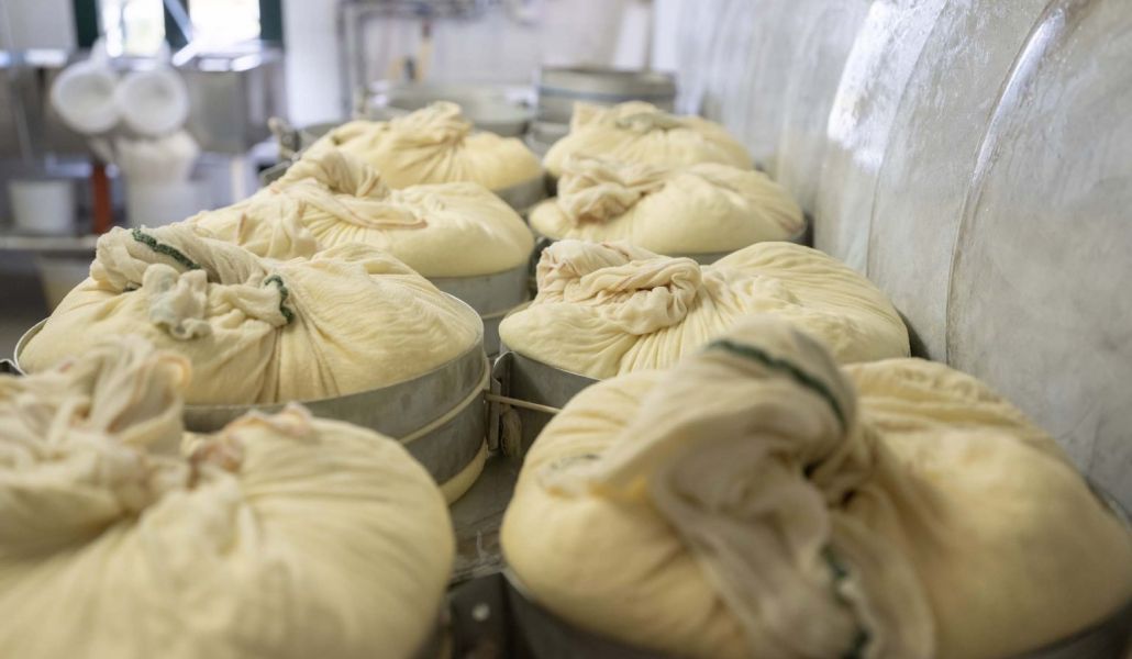 montasio malga montasio montasio malga montasio