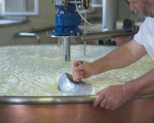 latteria di fagagna borgo paludo