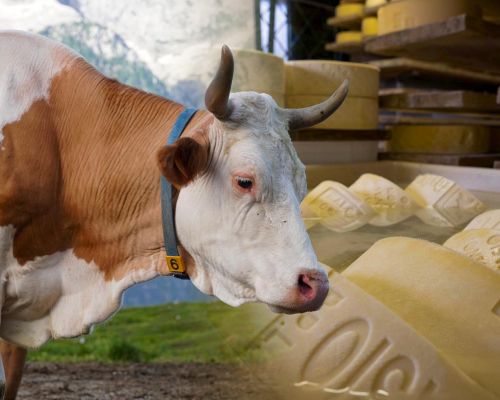 Associazione Allevatori del Friuli Venezia Giulia