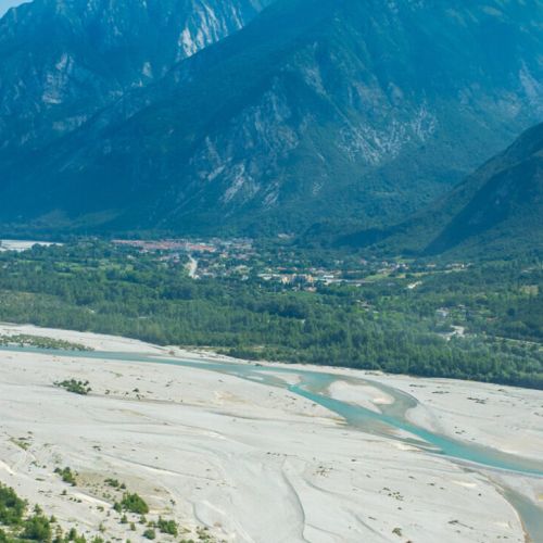 Cipolline in agrodolce